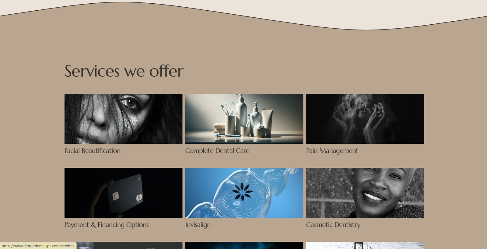 Detroit Dental Spa Detail 1